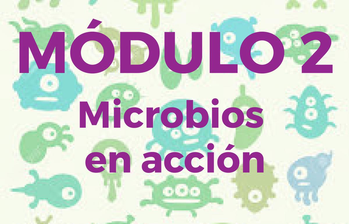 modulo2-microbios